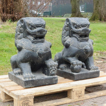 Einzelner Tempelwächter Löwe Shishi Fu Hunde Wächter Löwen Hund Skulptur Steinfigur Figur Links oder Rechts 60 cm