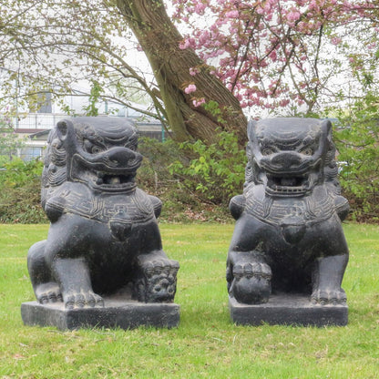 Einzelner Tempelwächter Löwe Shishi Fu Hunde Wächter Löwen Hund Skulptur Steinfigur Figur Links oder Rechts 40 cm