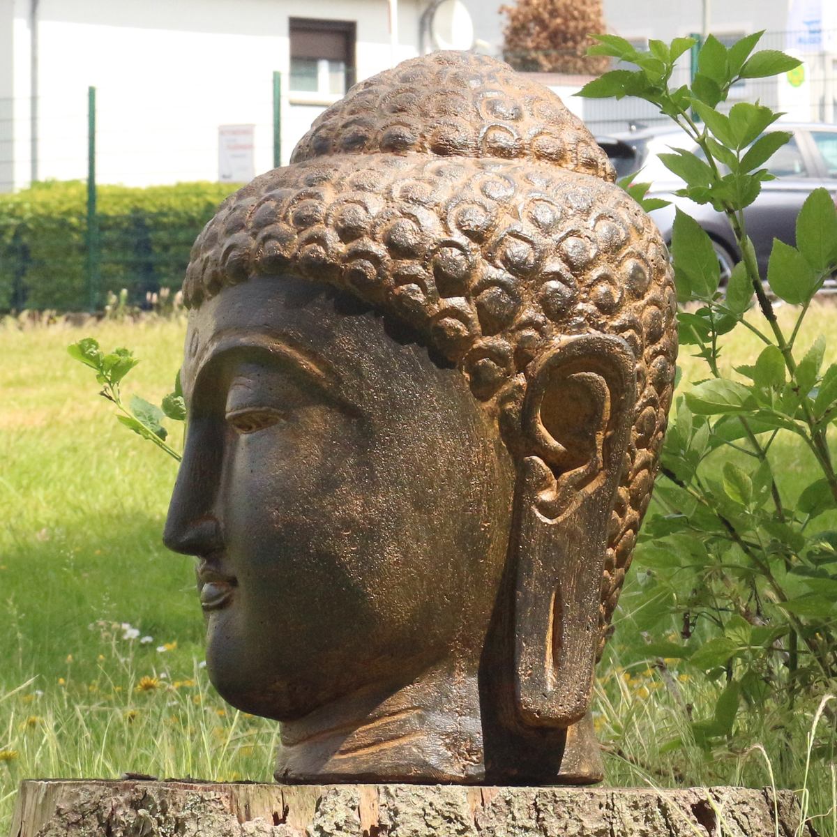 Buddha Kopf Head Figur Skulptur Bali Garten GRC Beton Gartenfigur Antik Finish 50 cm